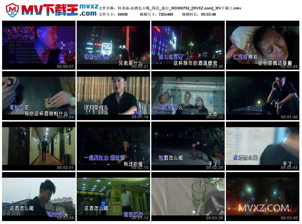 何龙雨-这酒怎么喝_国语_流行_MD300752